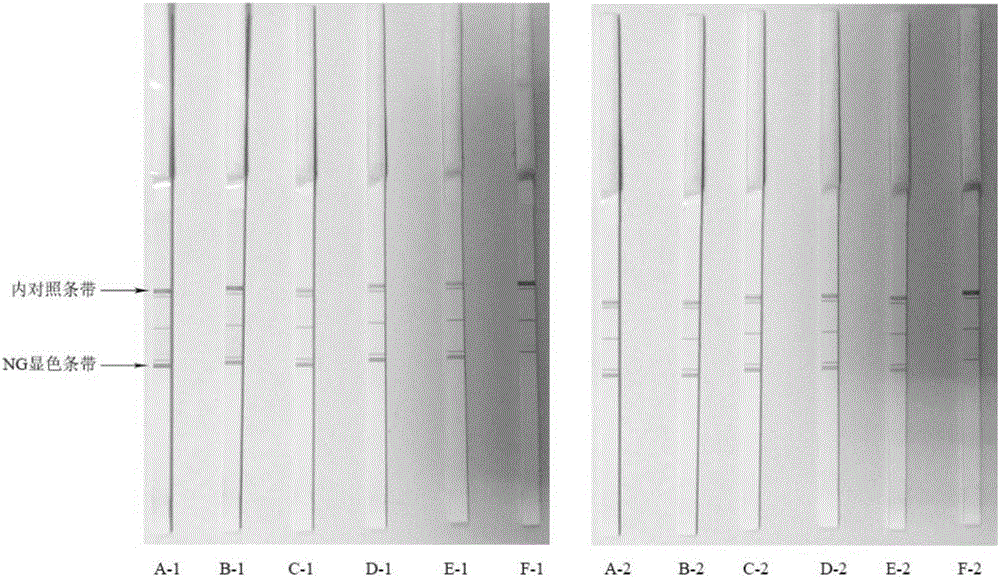 Gonococcus, treponema pallidum, chlamydia trachomatis and ureaplasma urealyticum hybrid membrane strip and detection kit