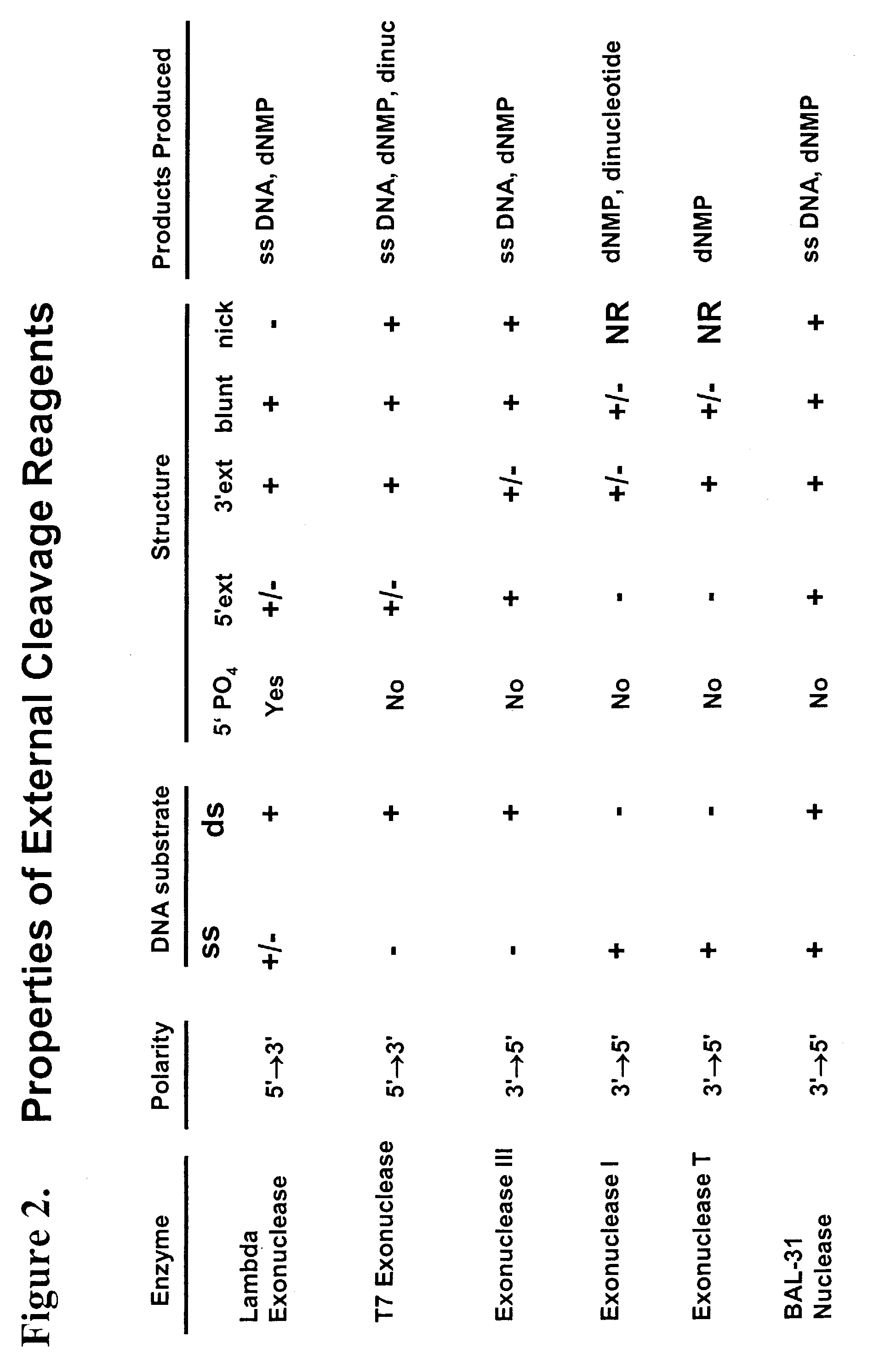 Multiplex method of detecting sequence-specific DNA binding proteins using detection duplexes comprising unmodified nucleic acid sequences as capture tags