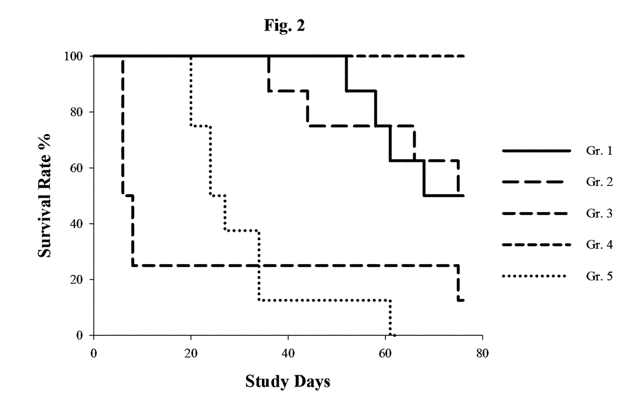 Metronomic Oral Gemcitabine for Cancer Therapy