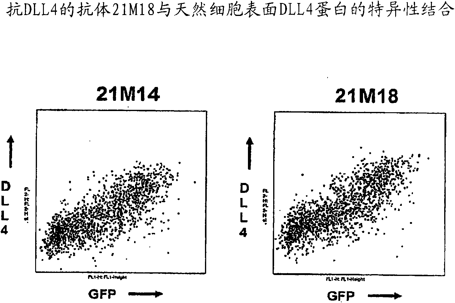 Compositions and methods for diagnosing and treating cancer