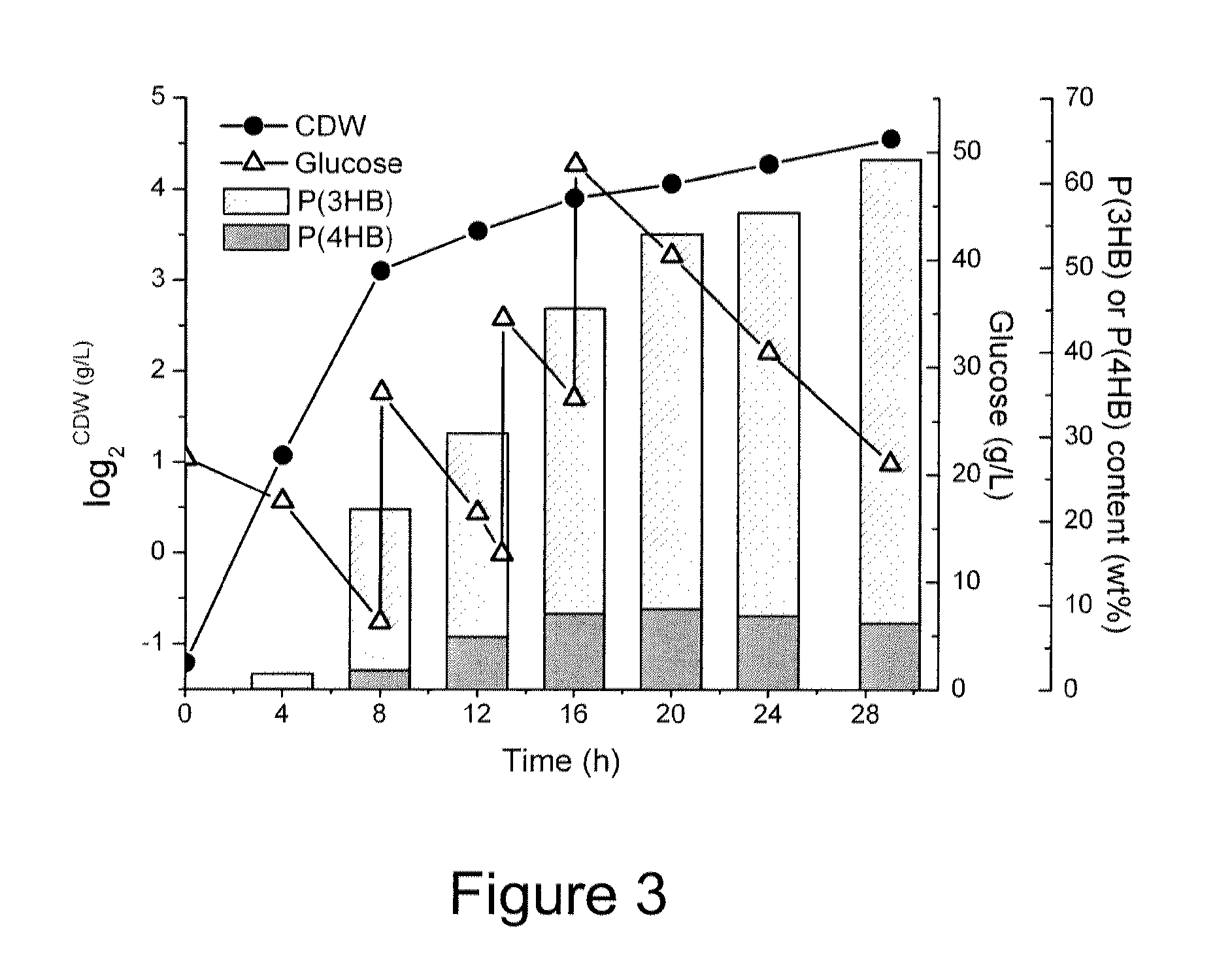 Recombinant hosts and methods for manufacturing polyhydroxyalkanoate