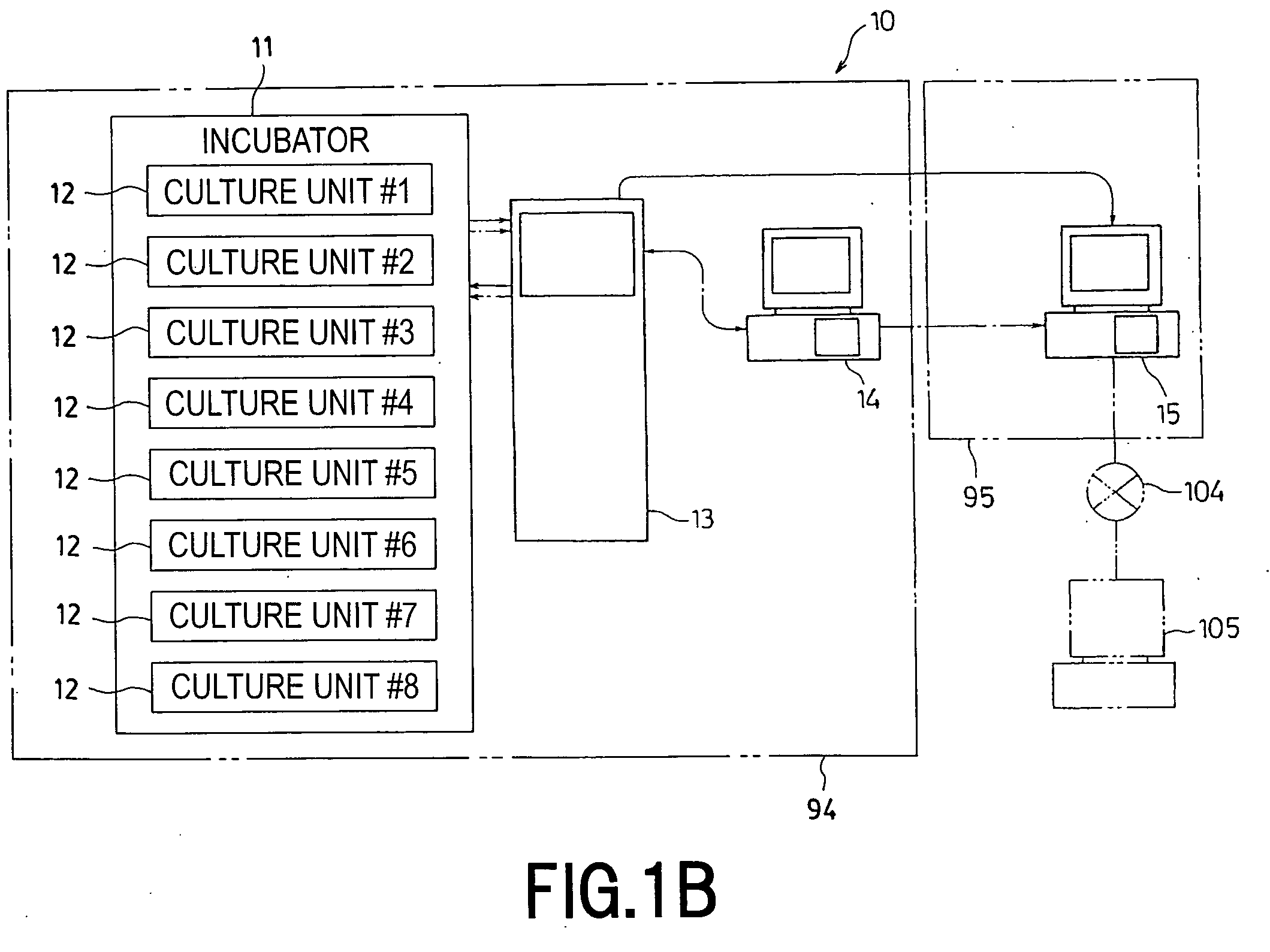 Cell Culture Apparatus, Cell Culture Method, Cell Culture Program and Cell Culture System