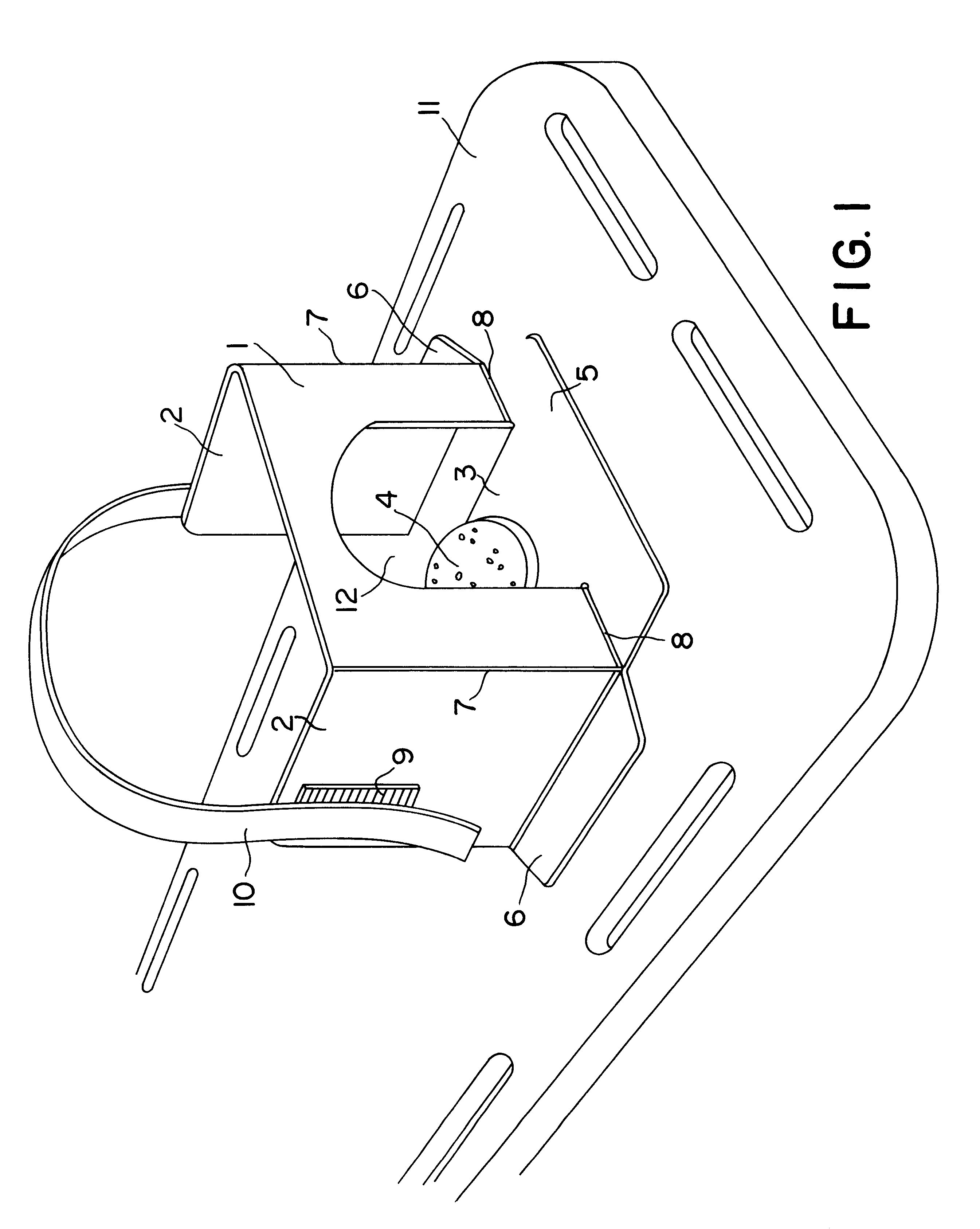 Head immobilization device