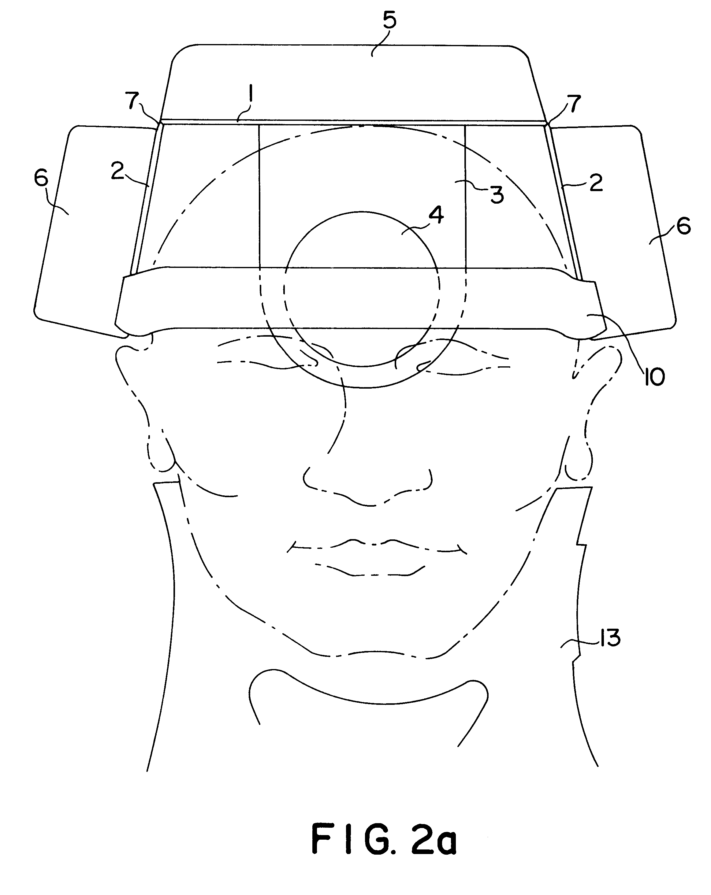 Head immobilization device