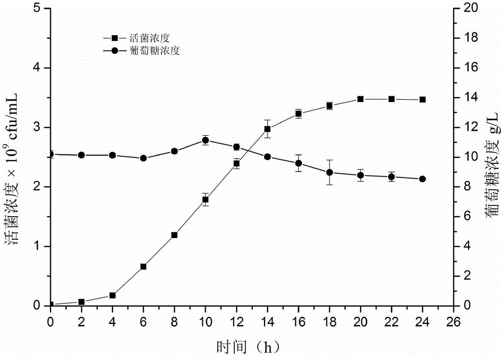Automatic feedback supplementing method for high-density culture of lactic acid bacteria