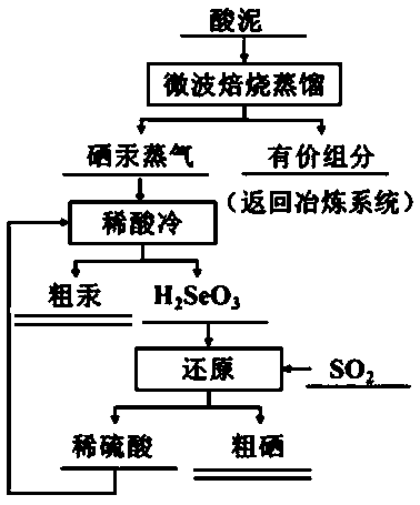 Method for microwave low-temperature treatment of acid mud and synchronous recovery of selenium and mercury