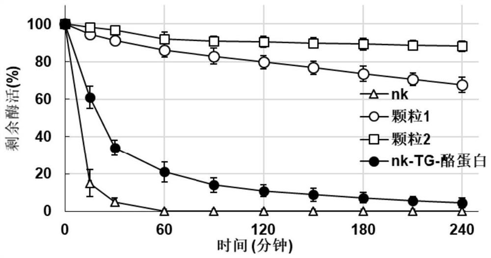 Nattokinase sustained-release microspheres and preparation method thereof