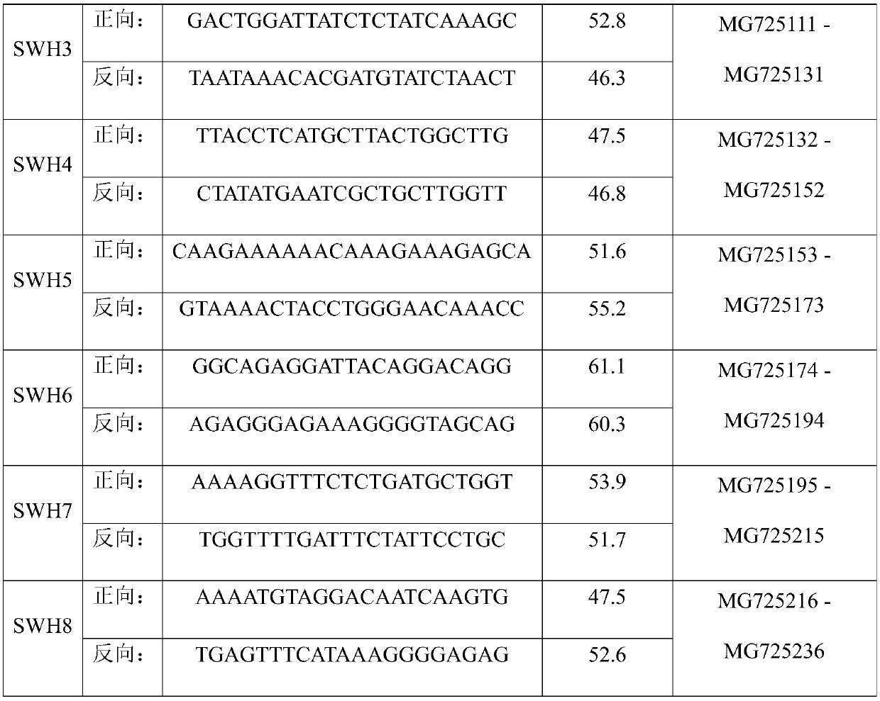 Amplification primers for identification of olea europaea l. varieties based on SNP loci, screening method and identification method