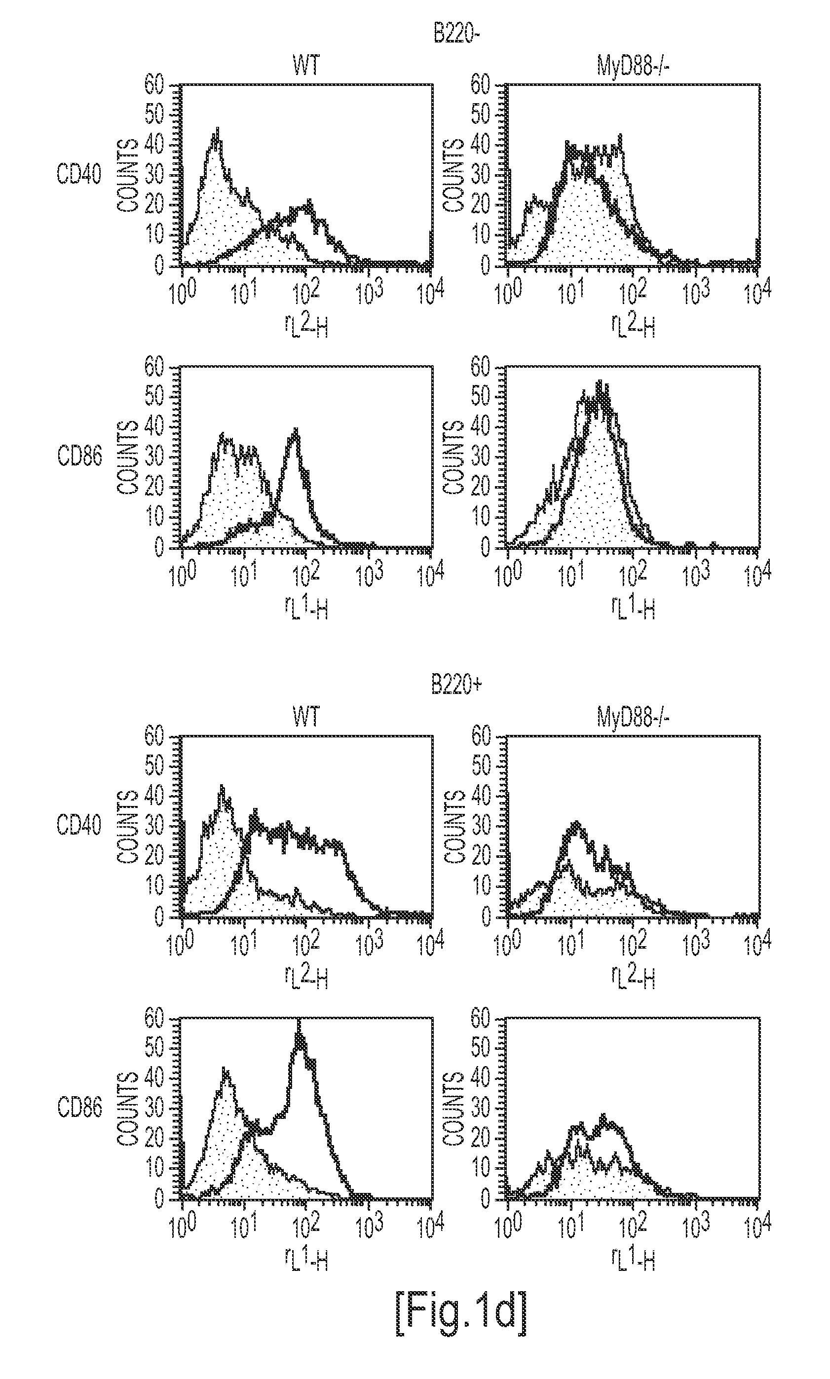 Detection/measurement of malaria infection disease utilizing natural immunity by hemozoin induction, screening of preventative or therapeutic medicine for malaria infection disease, and regulation of natural immunity induction