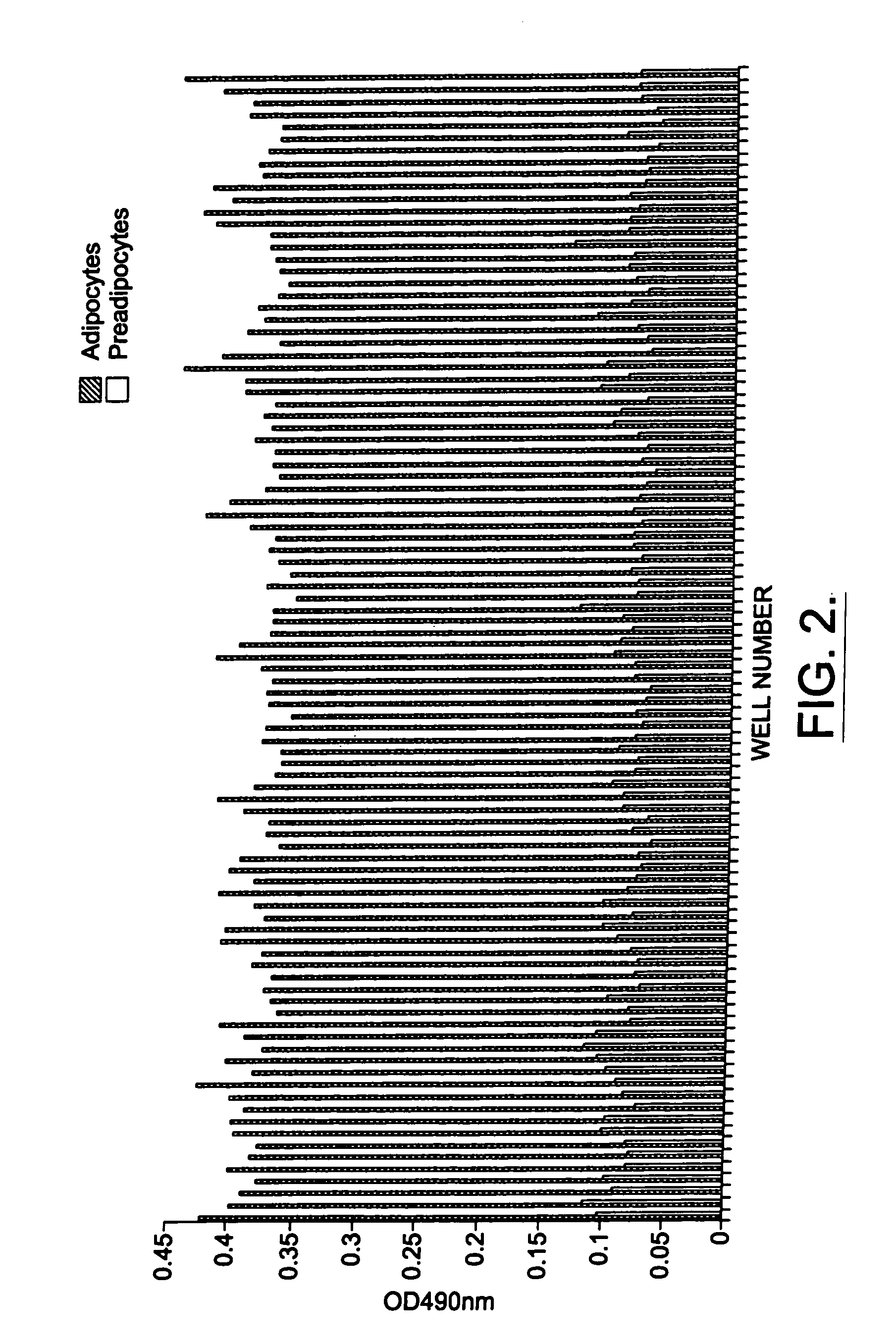 Methods and compositions for the differentiation of human preadipocytes into adipocytes