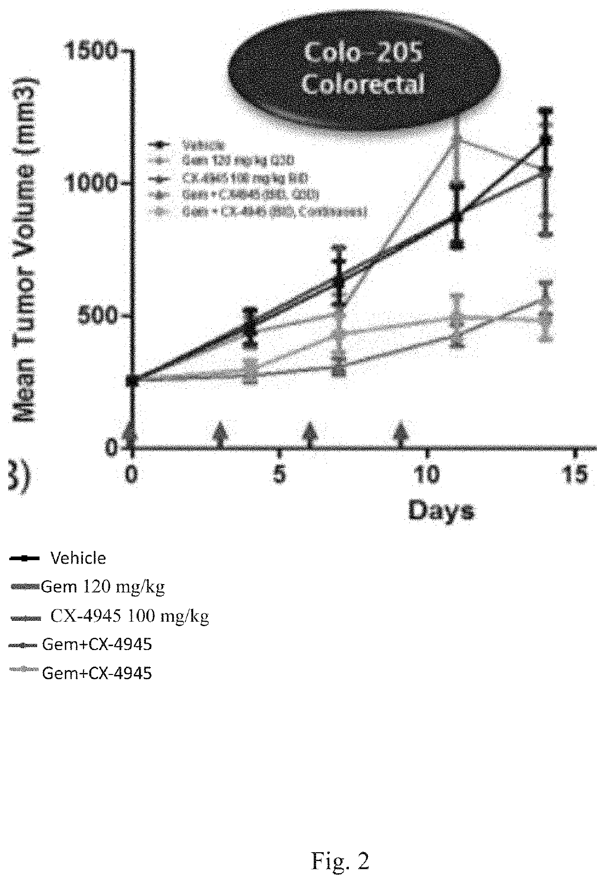 Combinations for immune-modulation in cancer treatment