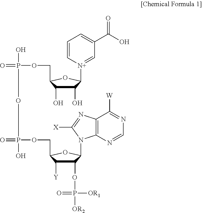 Pharmaceutical or cosmetic composition containing nicotinic acid adenine dinucleotide phosphate or derivative thereof
