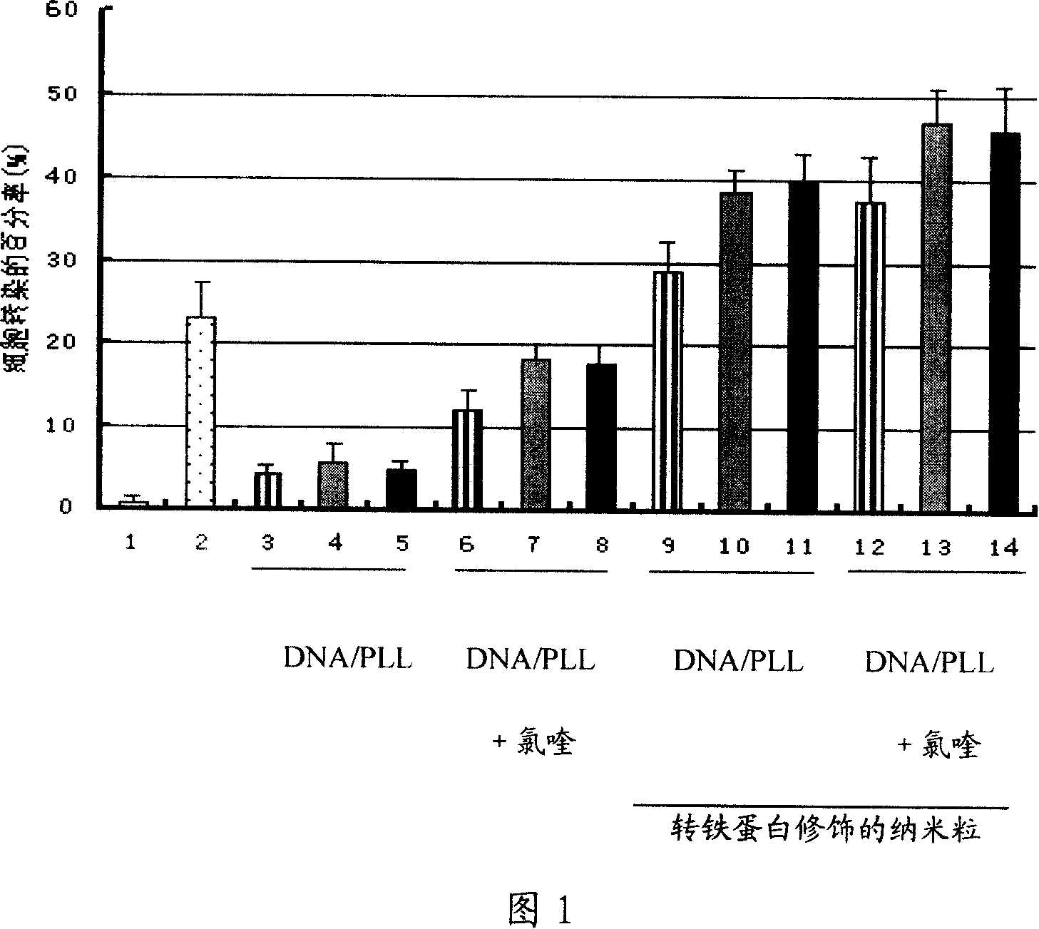 Gene medicine conveying system and method of preparing the same