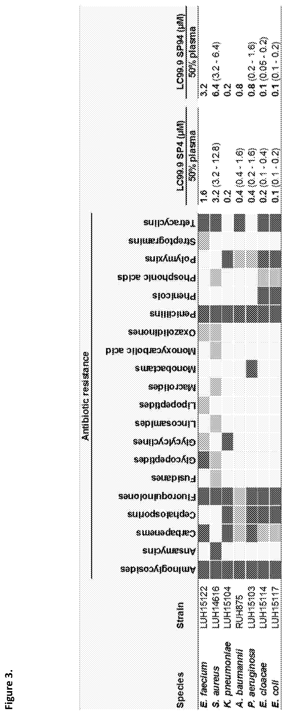 Bioactive peptides derived from snakes