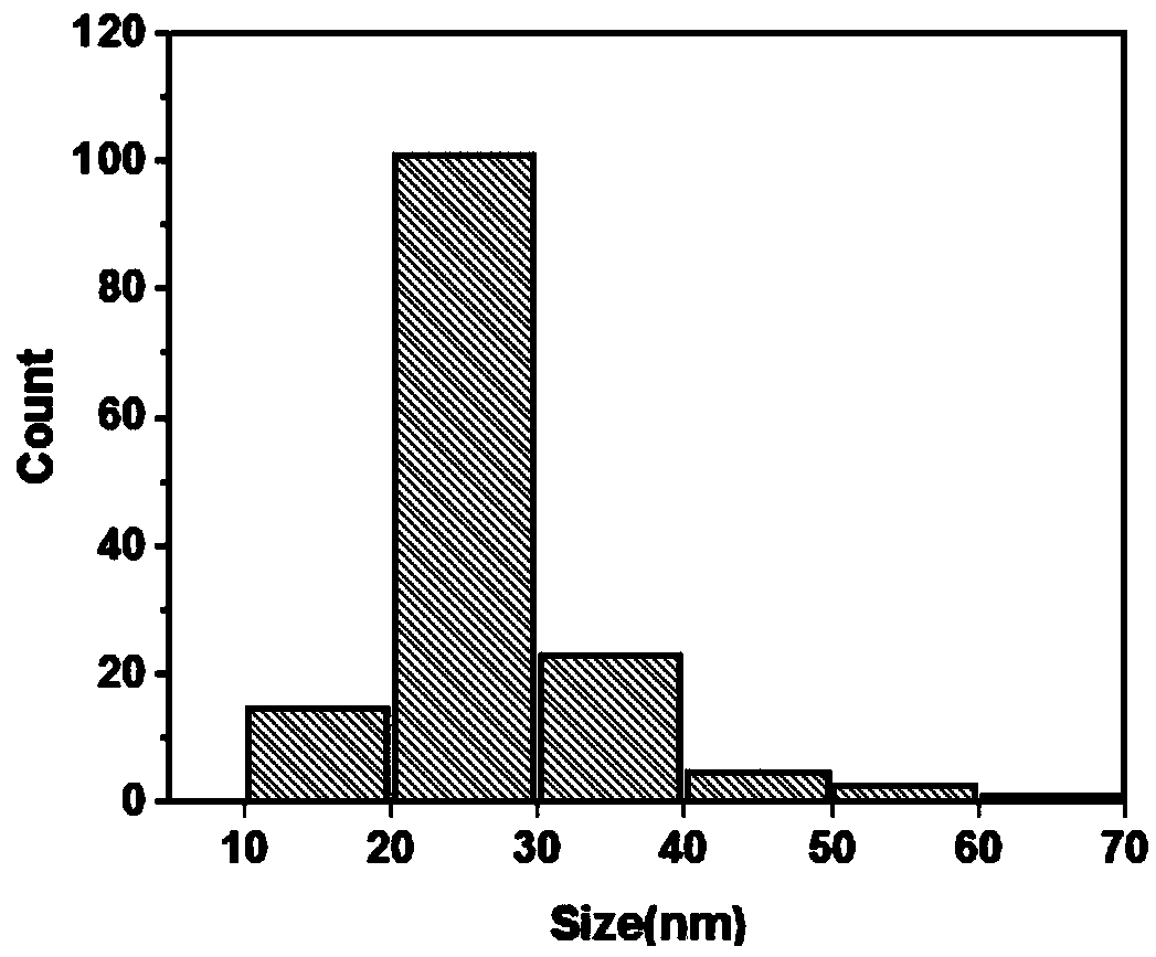 Quantum dot low-density lipoprotein nano-composite probe as well as preparation method and application