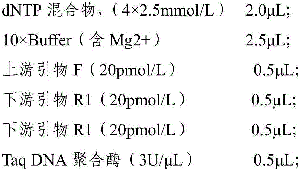 Specific PCR primer, kit and detection method for detecting bovine HCD carrier