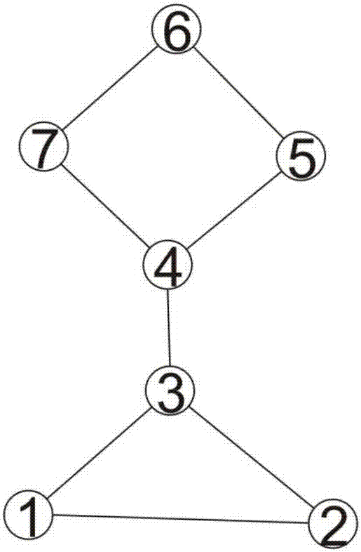 Community division method based on fireworks algorithm and local double rings