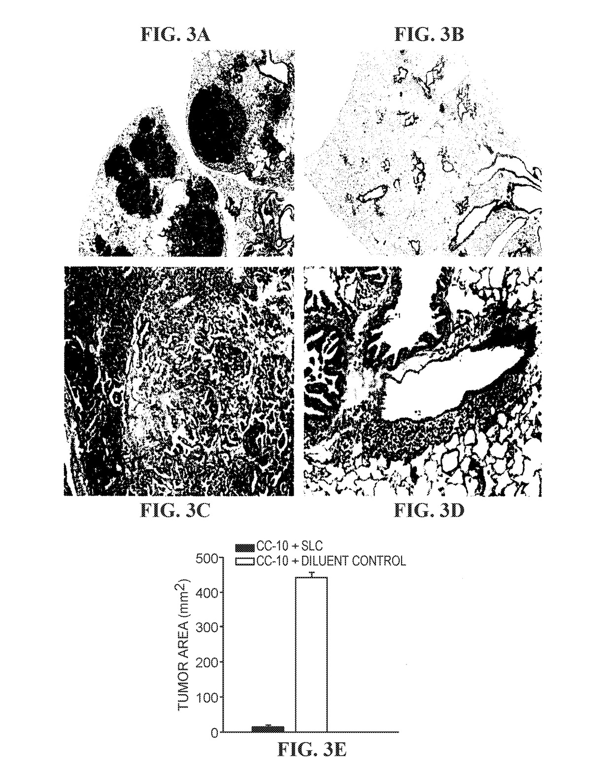 Combination Immunotherapy