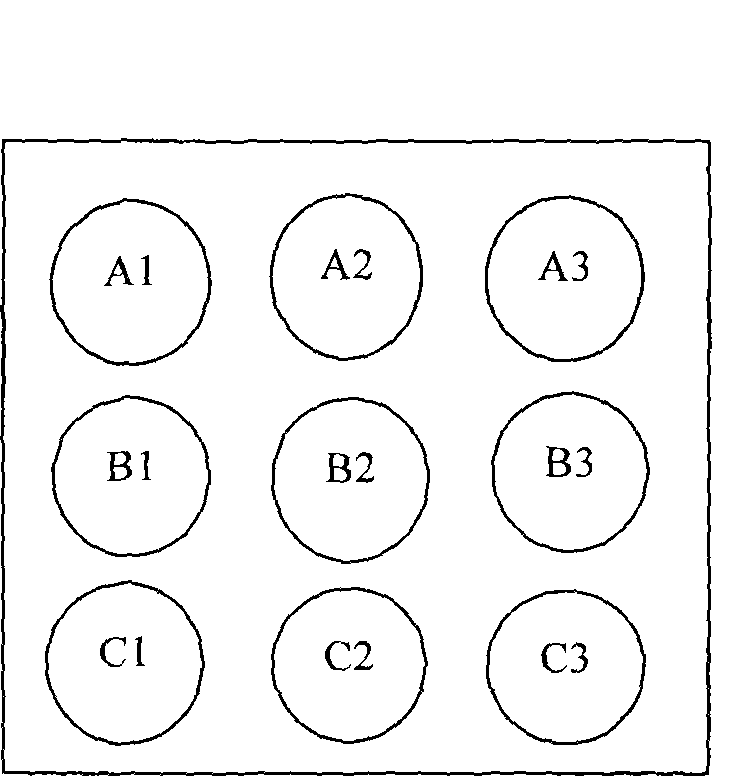 Protein chip for sironi virus detection and preparation method thereof