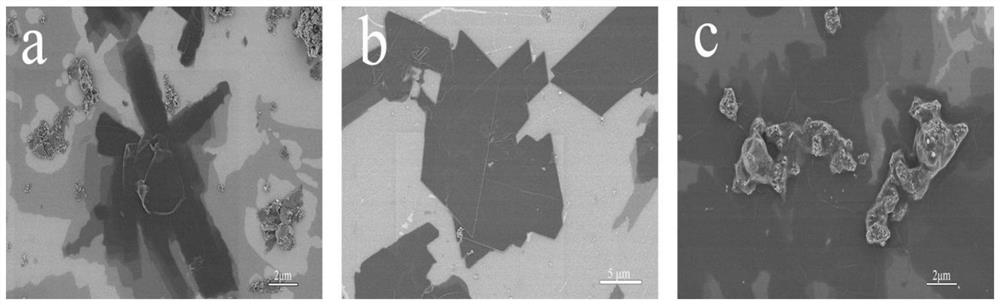 Preparation method of Cu-based two-dimensional sheet mofs material