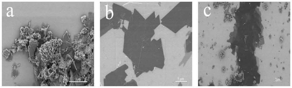 Preparation method of Cu-based two-dimensional sheet mofs material