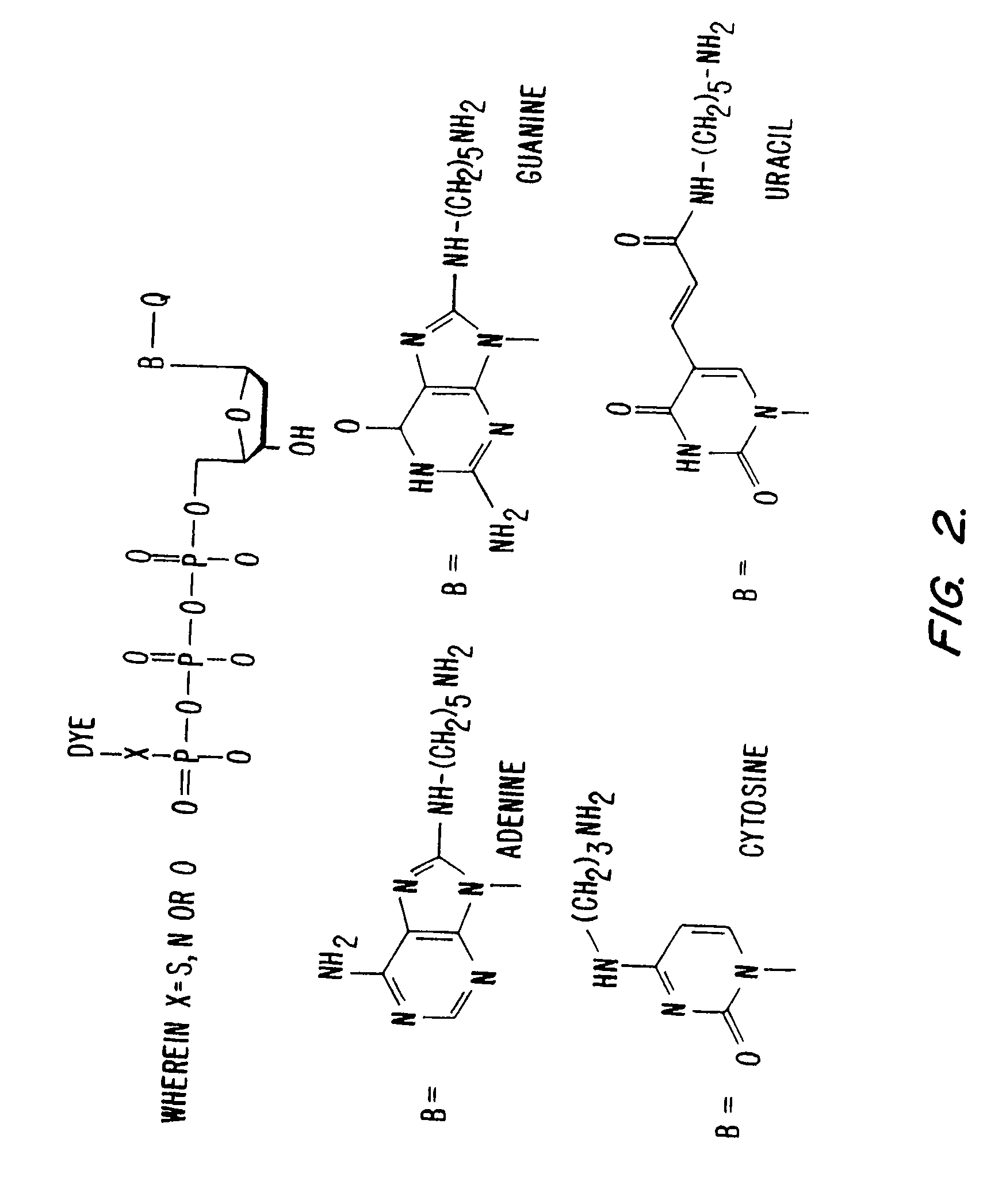 System and methods for nucleic acid sequencing of single molecules by polymerase synthesis