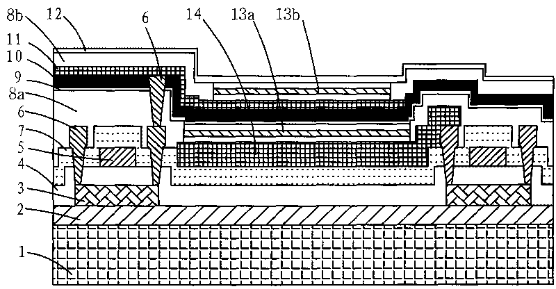 Double-sided OLED display