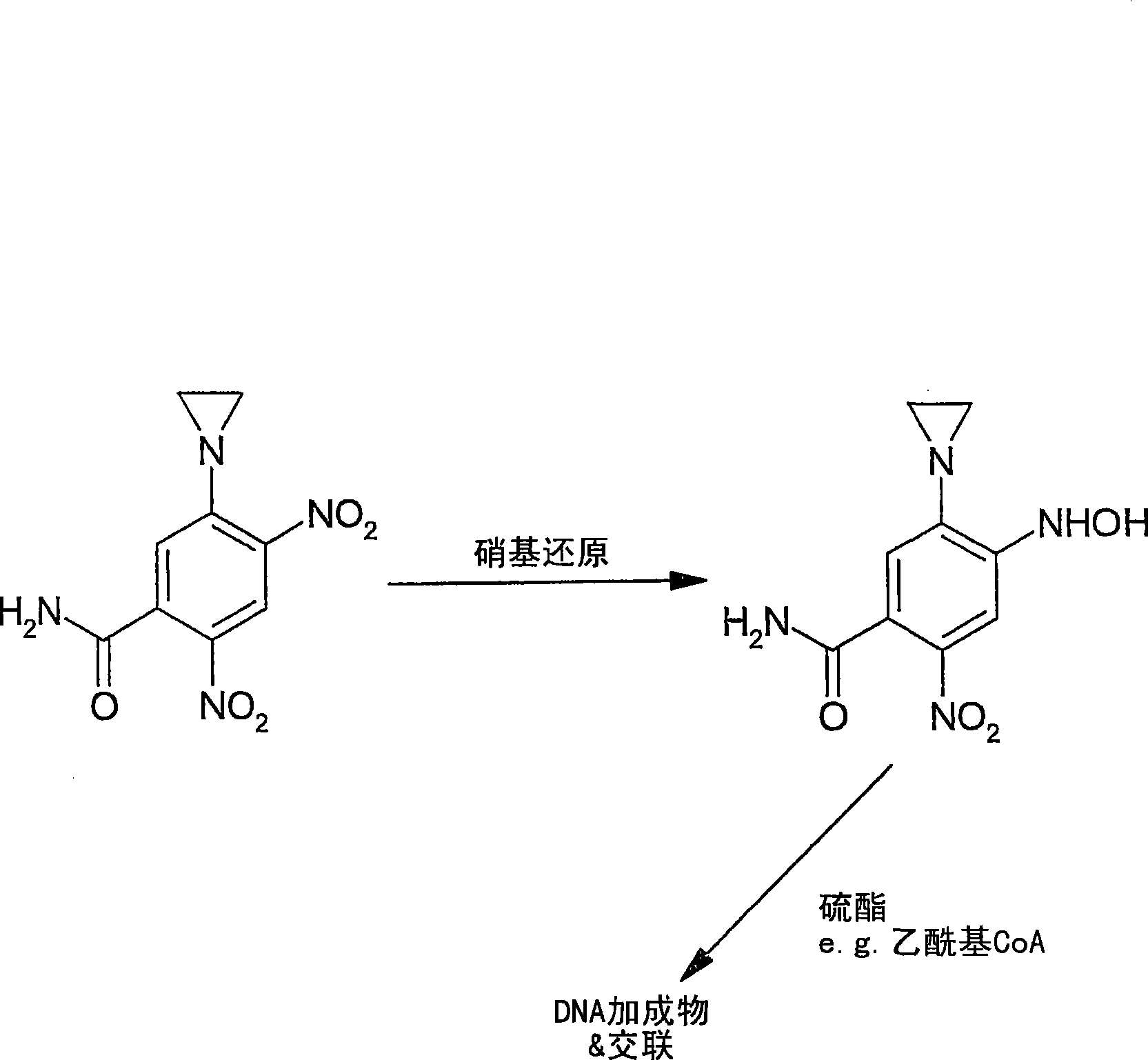 Use of alpha-hydroxy carbonyl compounds as reducing agents