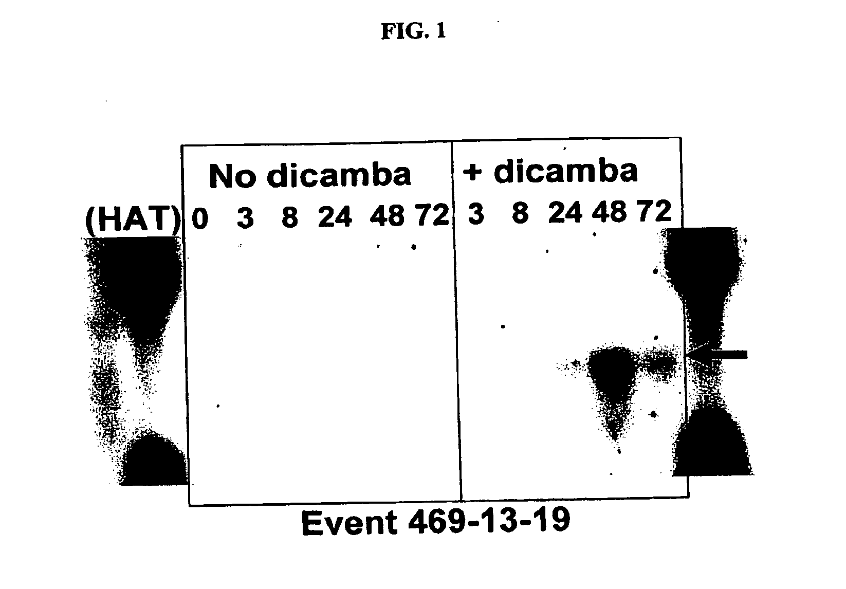 Methods and compositions for improving plant health