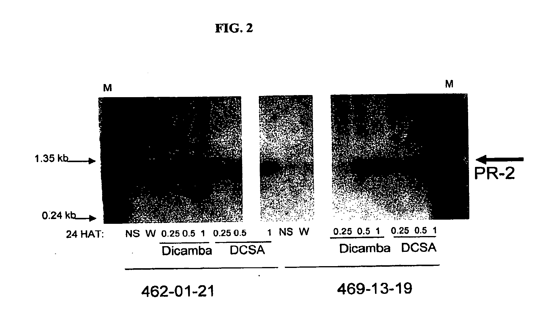 Methods and compositions for improving plant health