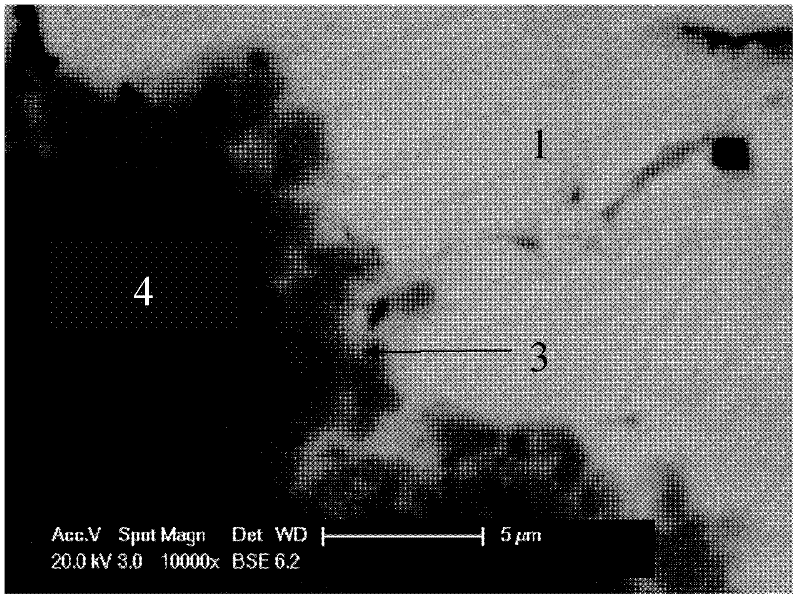 Magnetic particle tin-zinc matrix composite solder and preparation method thereof