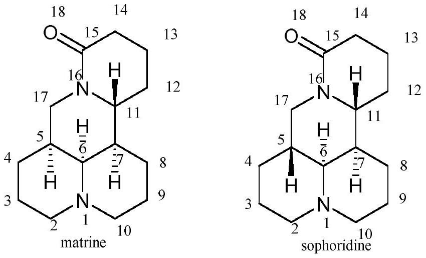 Matrine derivatives and sophoridine derivatives containing aryl amidine or aminoquinoline structure and preparation method thereof