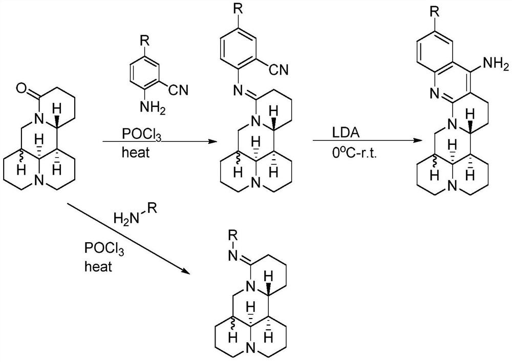 Matrine derivatives and sophoridine derivatives containing aryl amidine or aminoquinoline structure and preparation method thereof