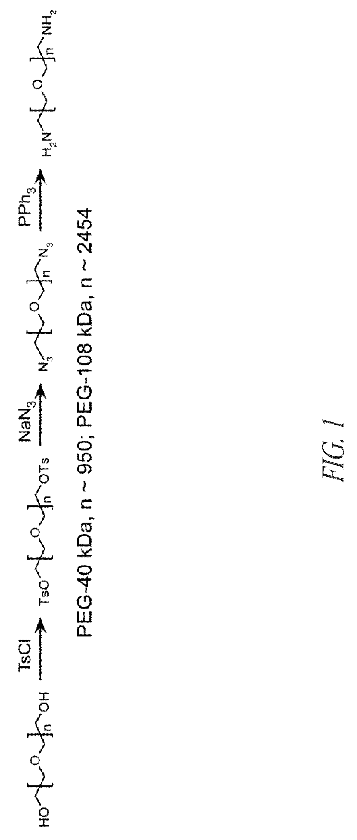 Divalent hydrazide compound conjugates for inhibiting cystic fibrosis transmembrane conductance regulator