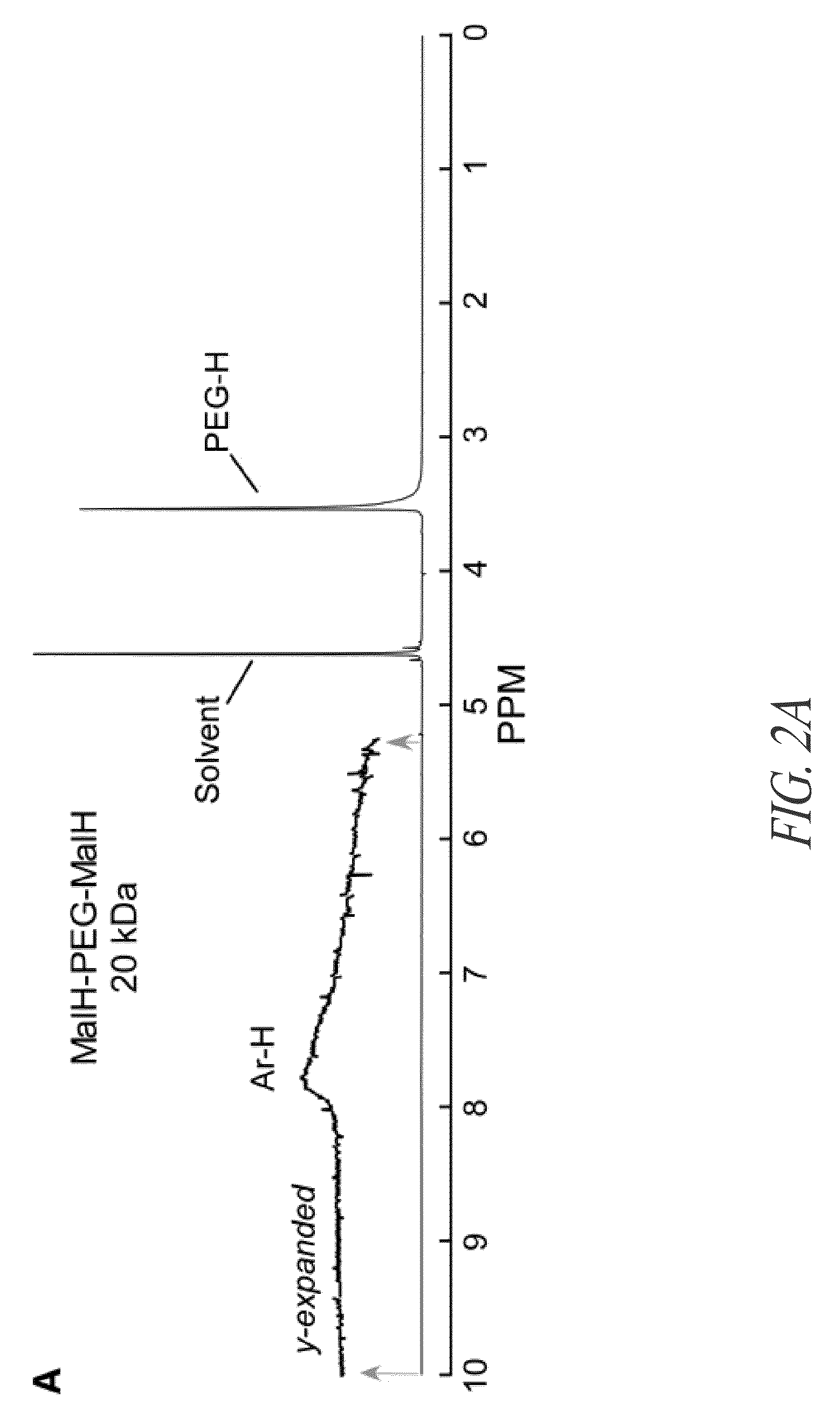 Divalent hydrazide compound conjugates for inhibiting cystic fibrosis transmembrane conductance regulator