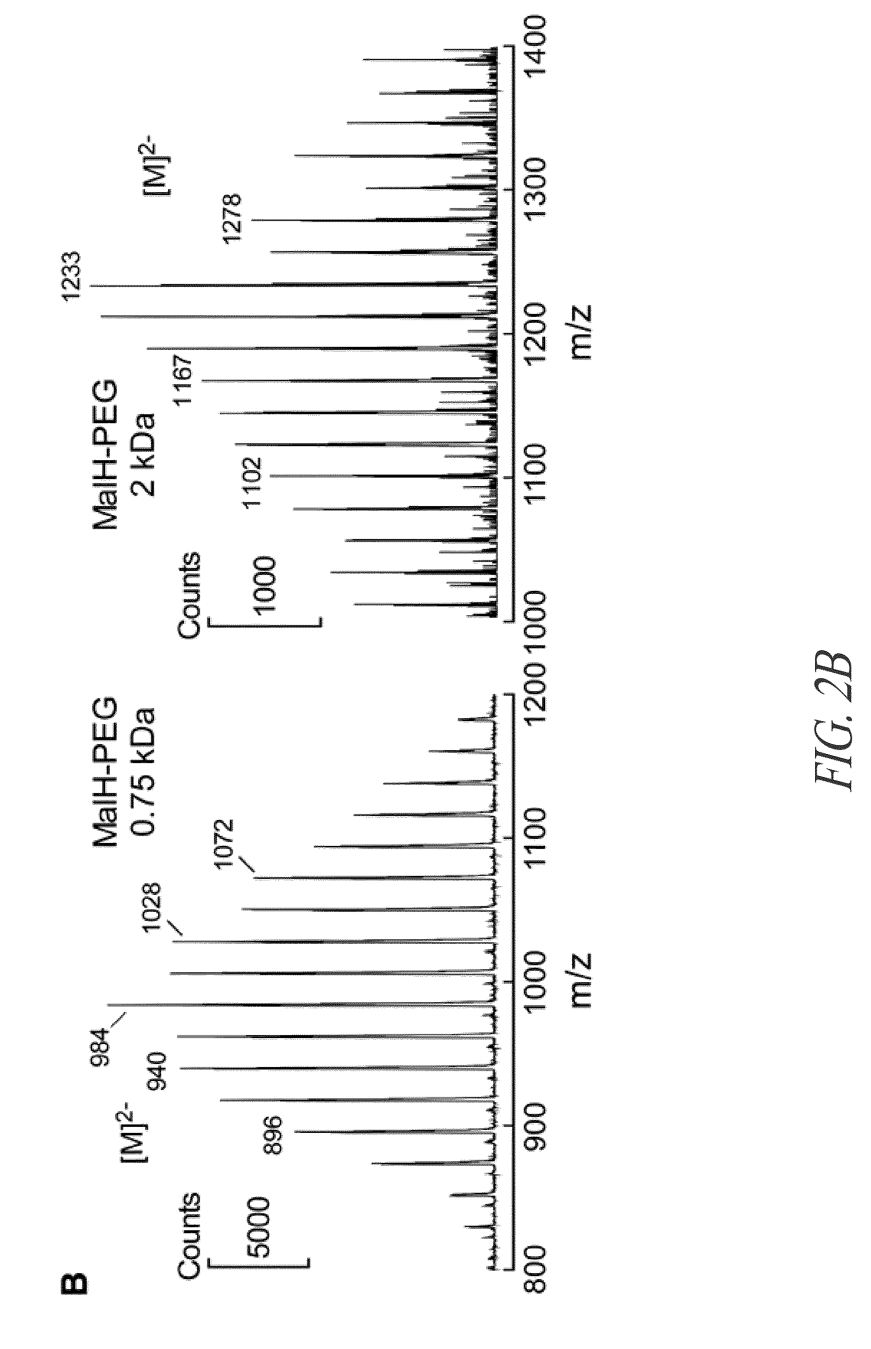 Divalent hydrazide compound conjugates for inhibiting cystic fibrosis transmembrane conductance regulator