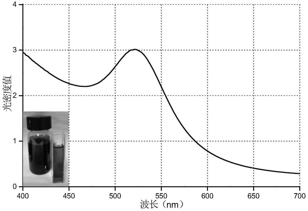 Gene transporter and its preparation method and application