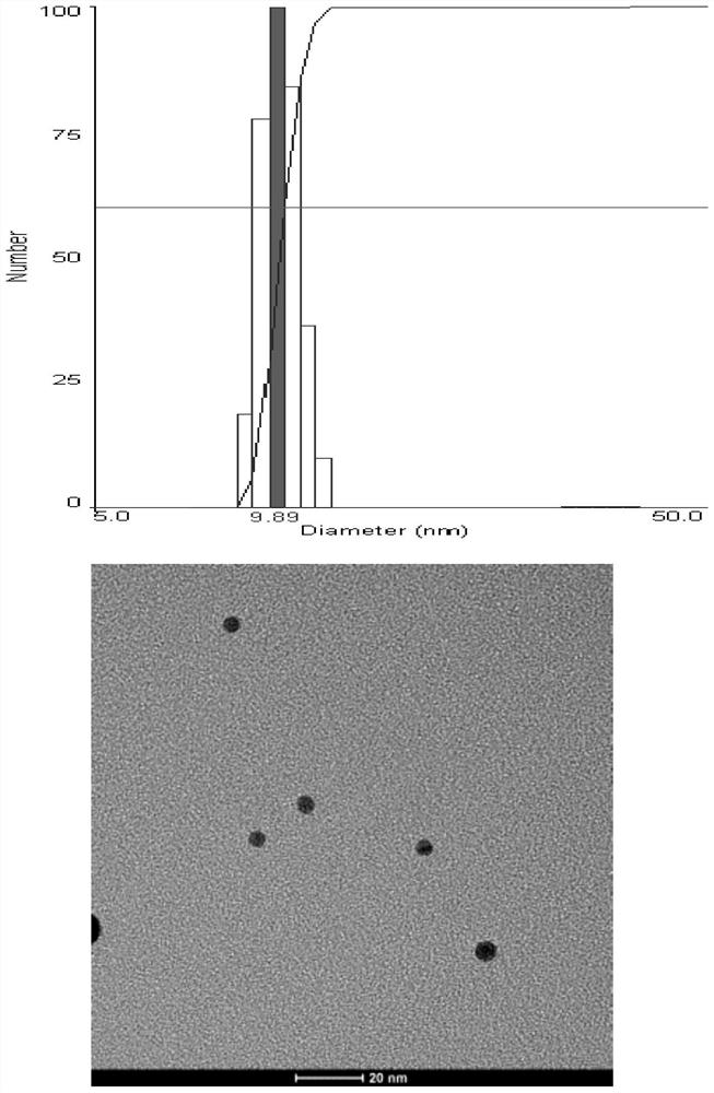 Gene transporter and its preparation method and application