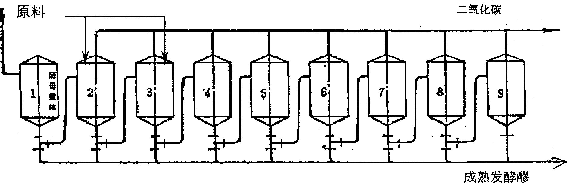 Production of alcohol by fermenting by yeast tolerant to high concentrated sugar and alcohol