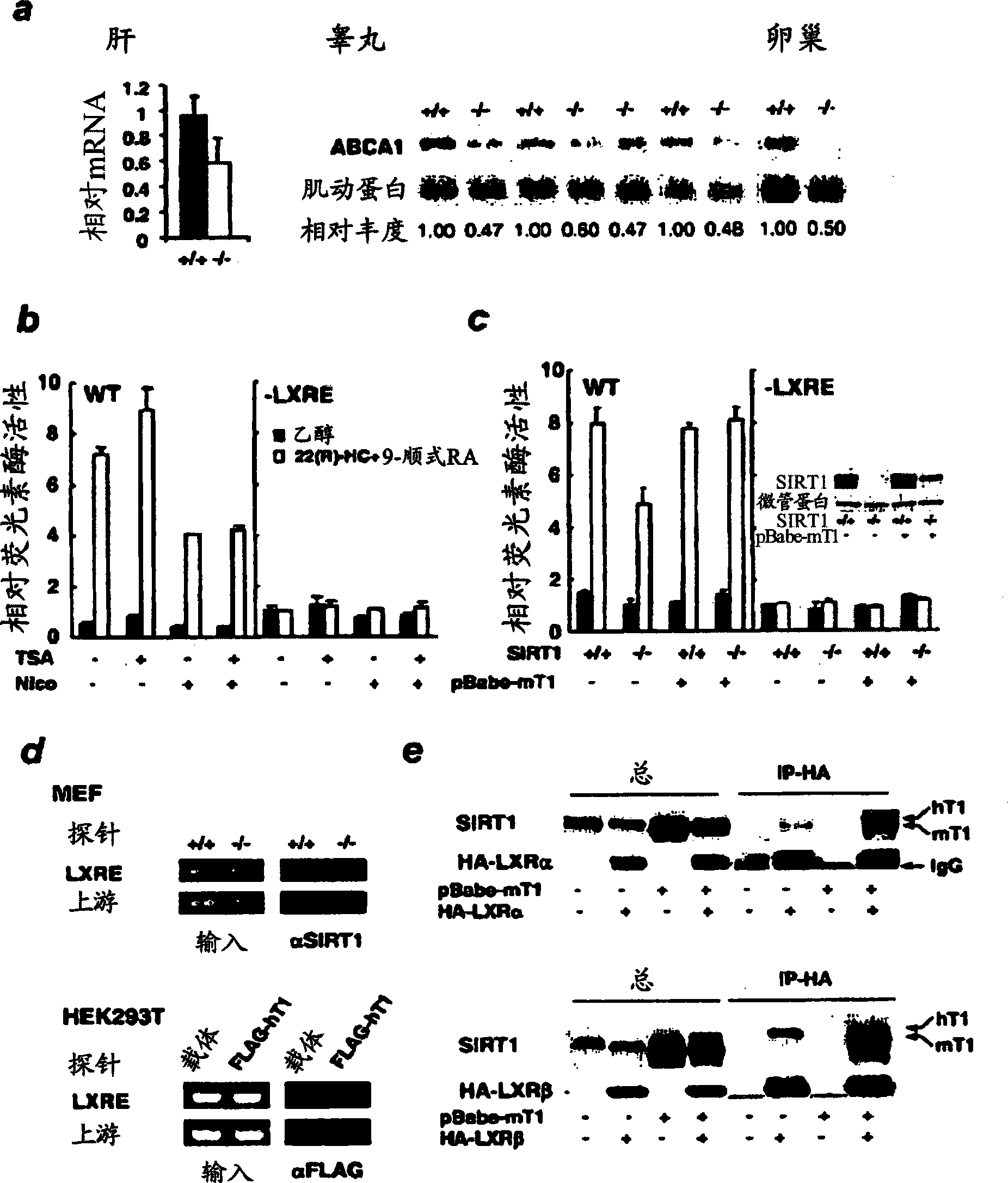 Cholesterol-regulating complex of sirt1 and lxr and methods of use