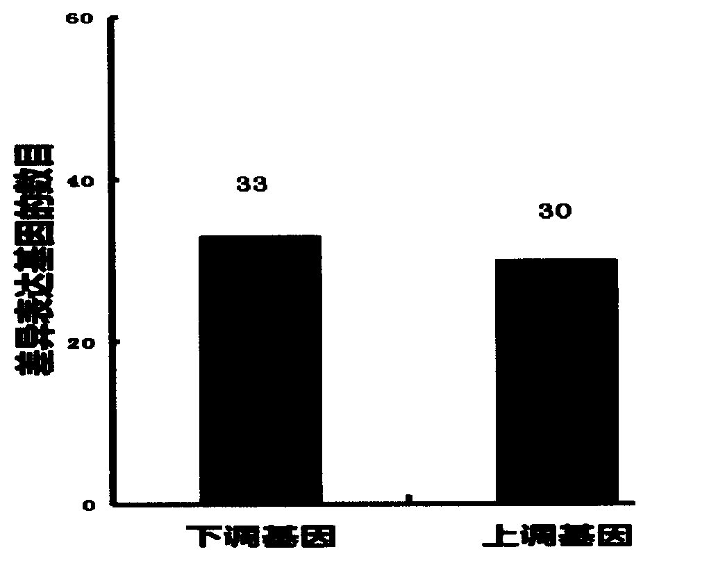 Space enterococcus faecium LCT (Liquid-based Cytology Test )-EF301