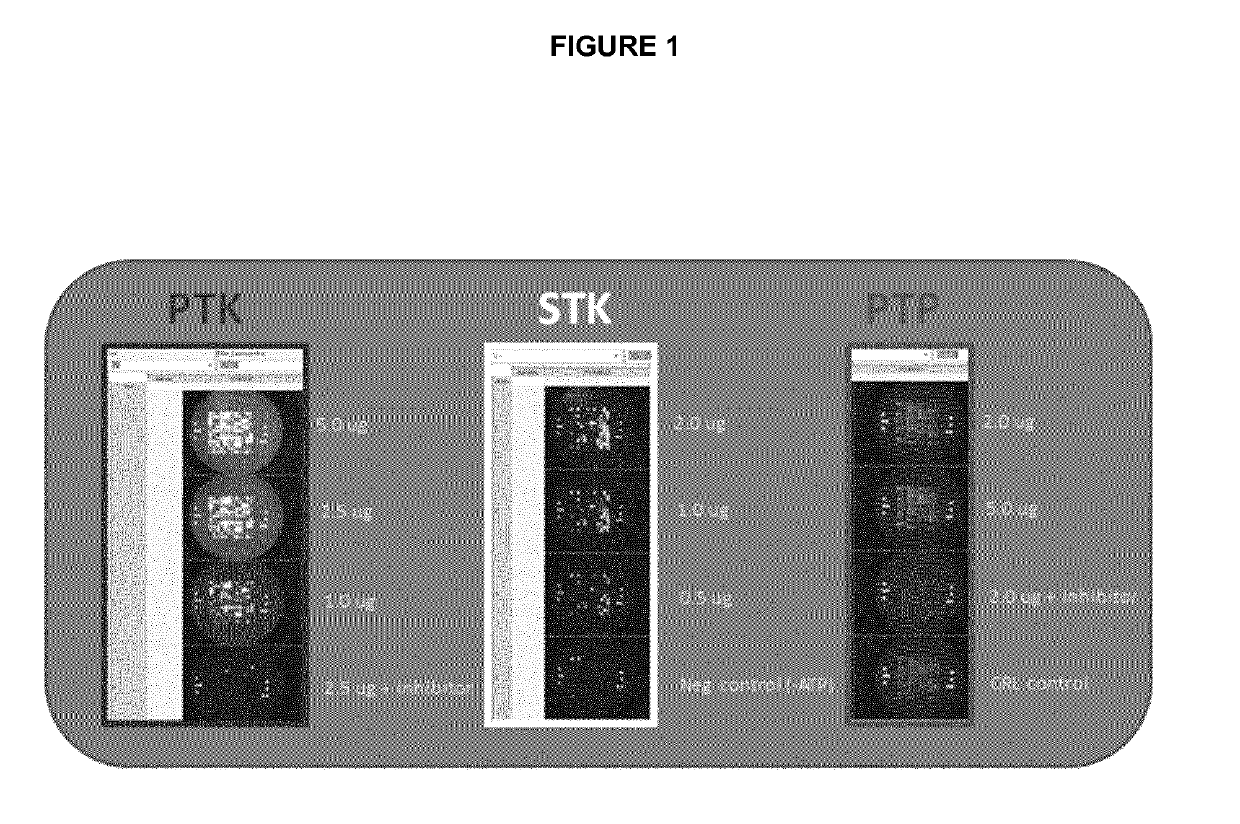 Method for predicting the response of melanoma patients to a medicament