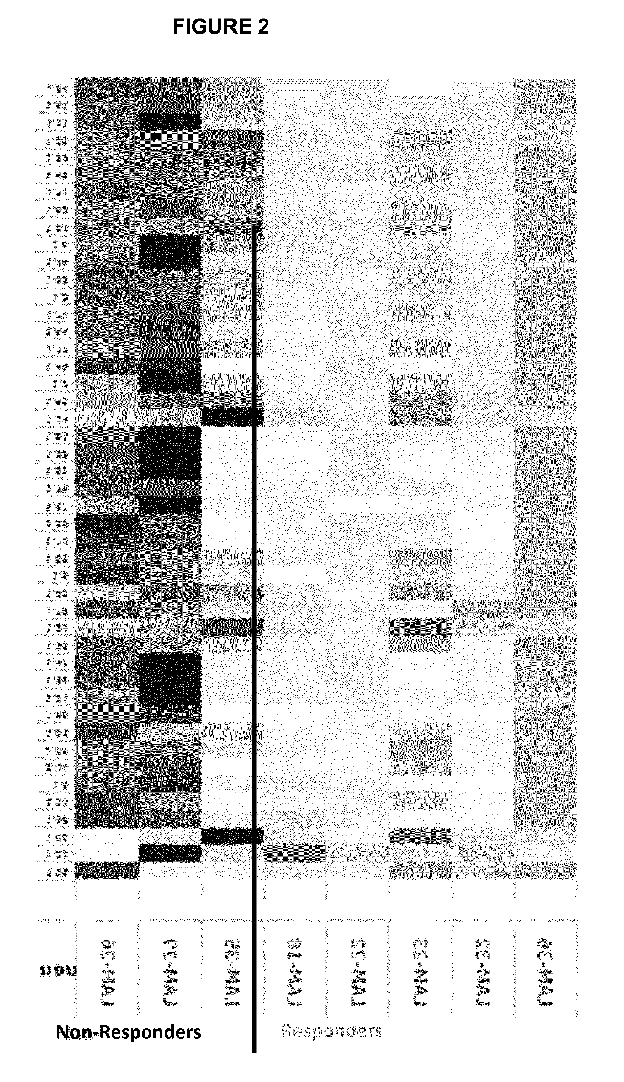 Method for predicting the response of melanoma patients to a medicament