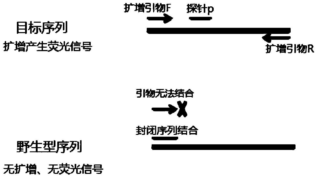 Kit for colorectal cancer detection and its application