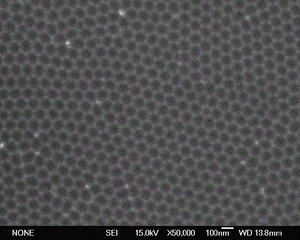 Gold nanocap array surface enhanced Raman active substrate and preparation method thereof