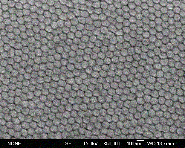 Gold nanocap array surface enhanced Raman active substrate and preparation method thereof