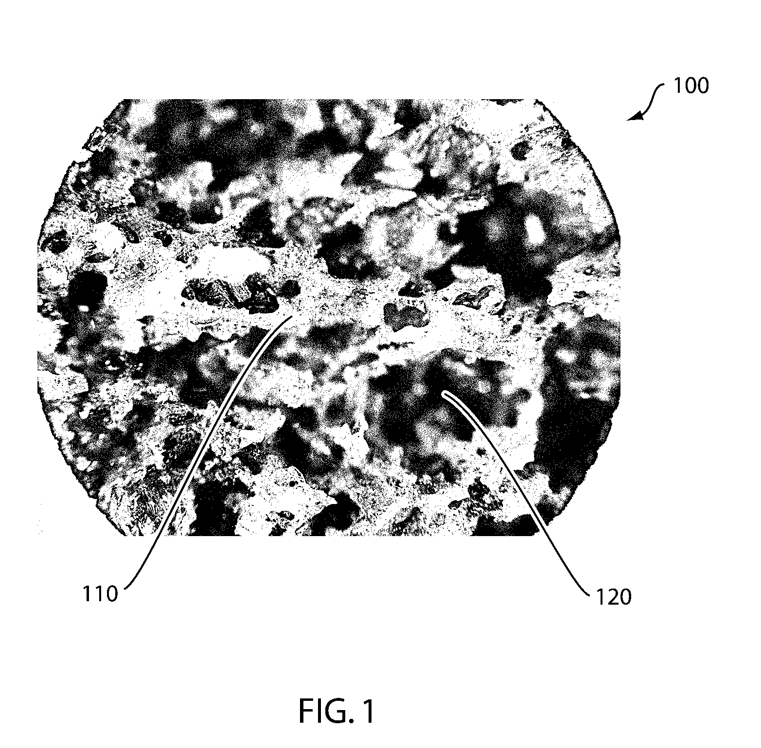 Devices and Methods for Tissue Engineering