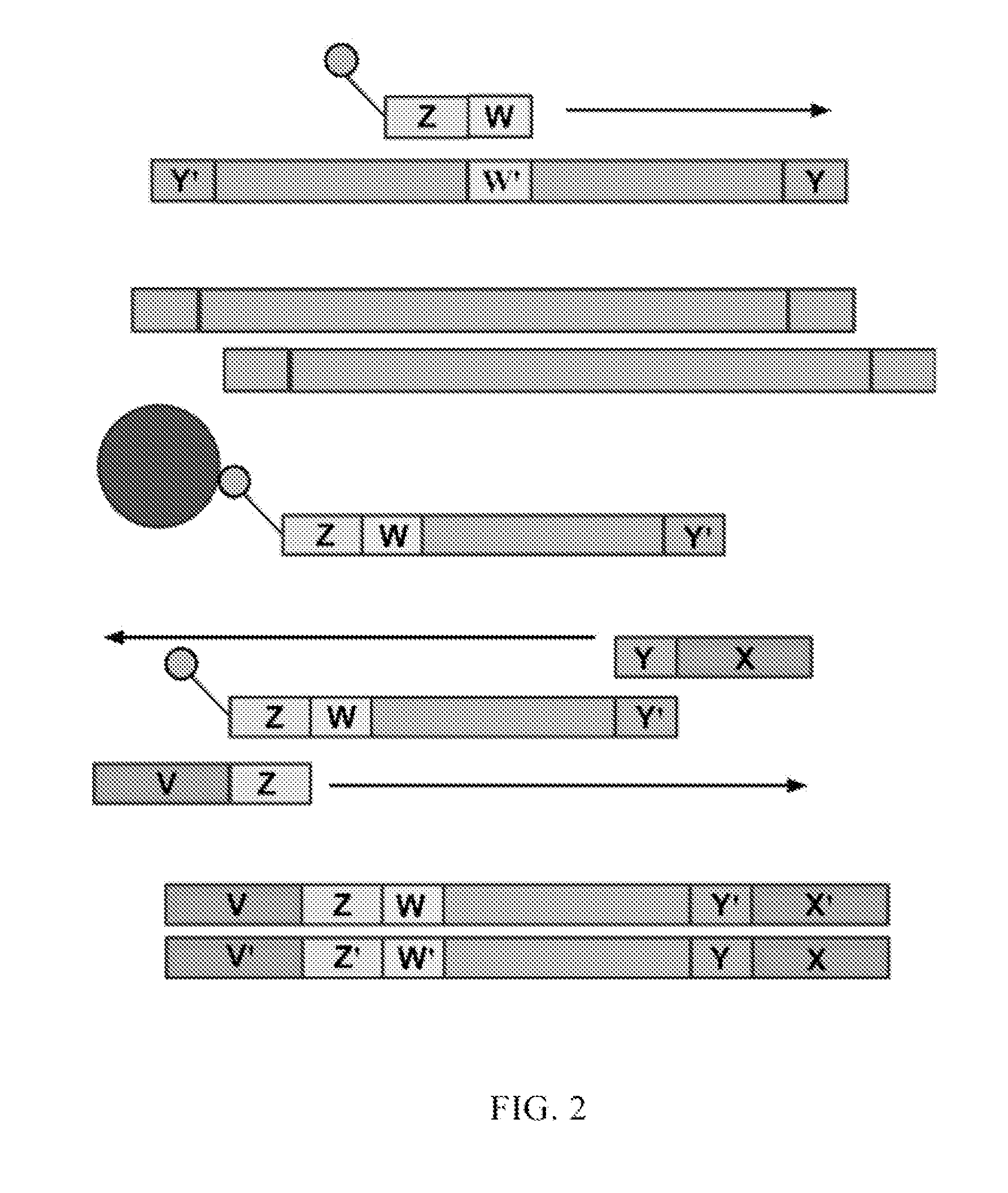 Methods and compositions for high-throughput sequencing