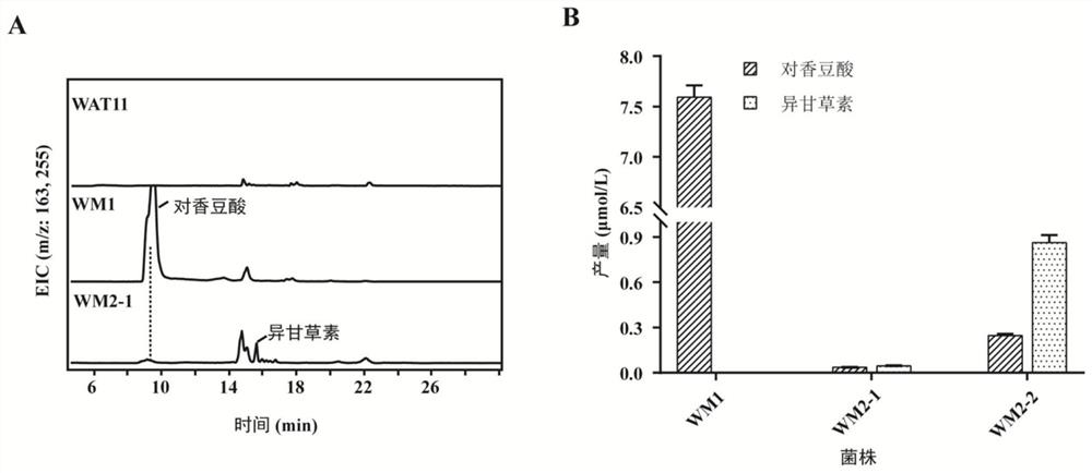 Fusion protein, its coding gene and its application in biosynthesis