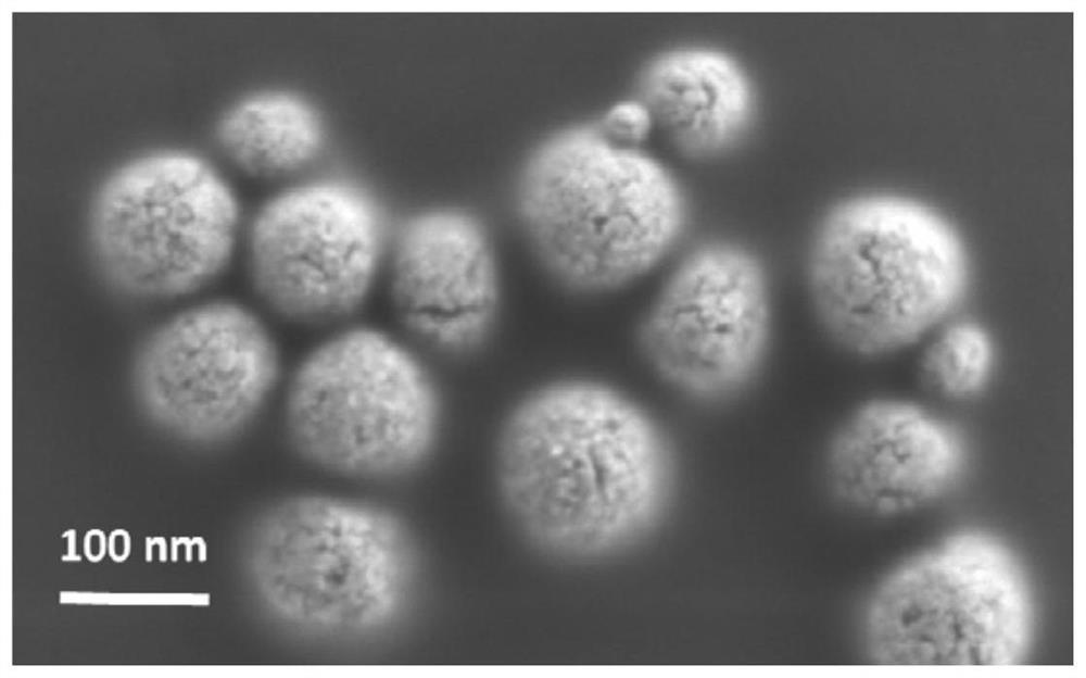 Nano-calcium carrier delivery system for targeting and activating CD44 molecules, its preparation method and use